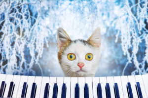 protect your piano in the winter